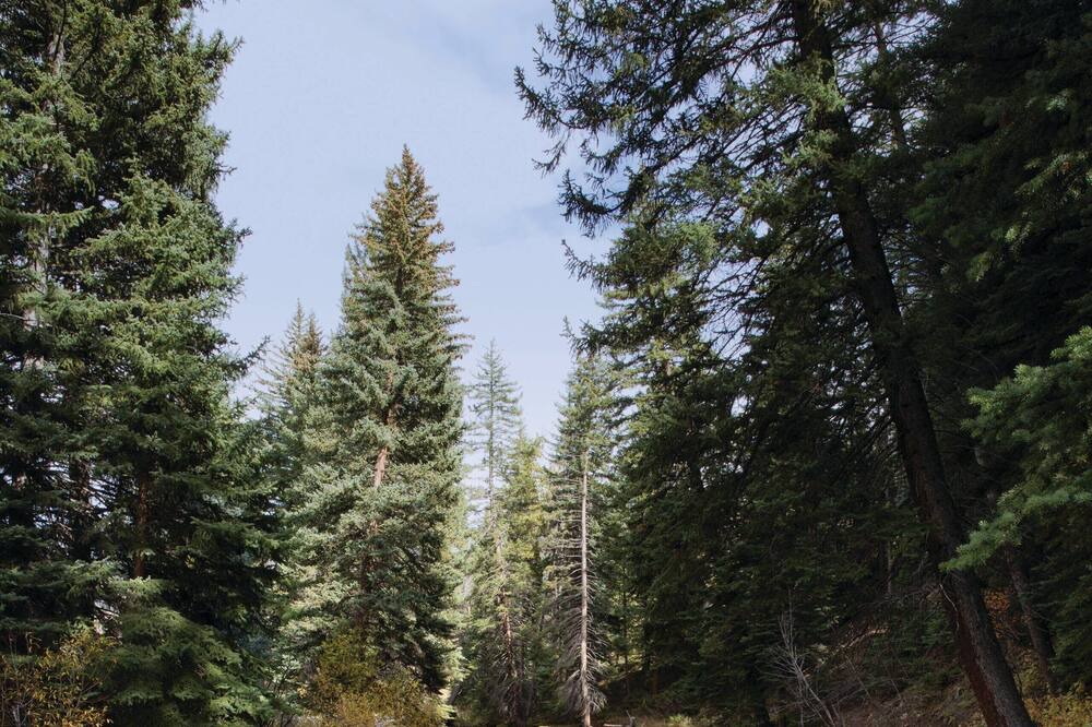 Photo of Outdoor in Highland Meadows