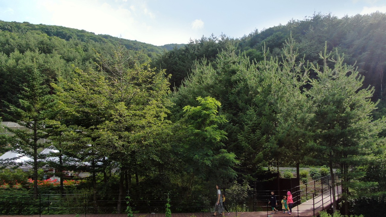 Photo of Others in Gohan