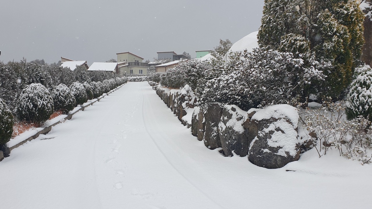 Photo of Outdoor in Aewol