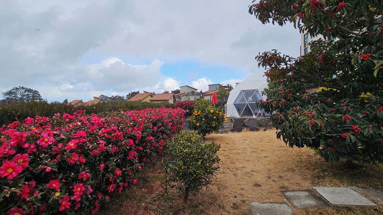 Photo of Outdoor in Aewol