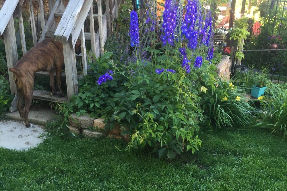 Photo of Outdoor in North Central Westminster