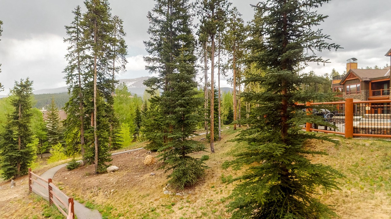 Photo of Outdoor in Four O'Clock