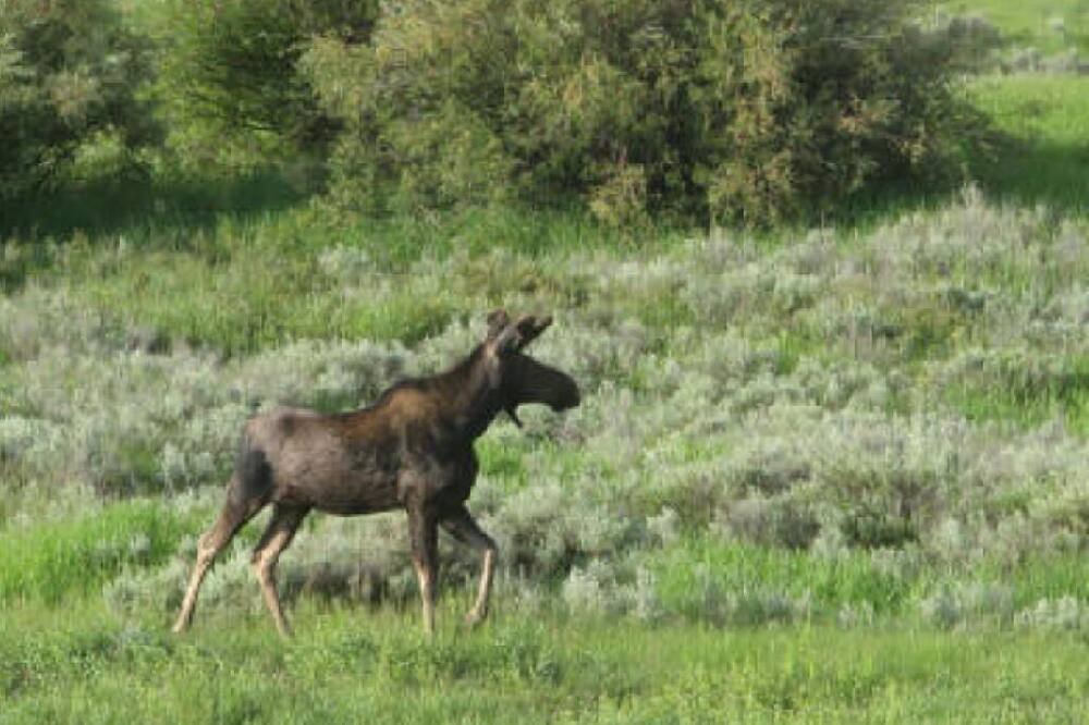Photo of Outdoor in Summit Cove