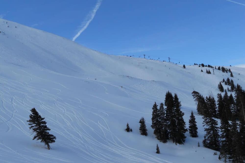 Photo of Others in Summit Cove