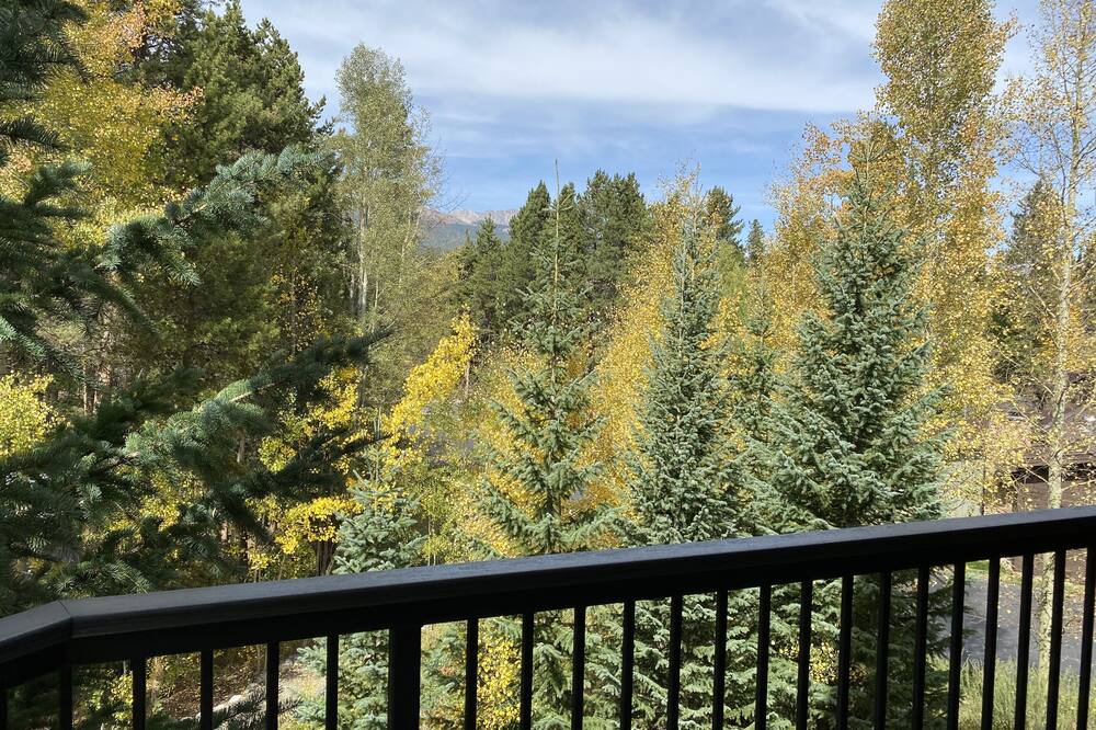 Photo of Patio Balcony in Warrior's Mark