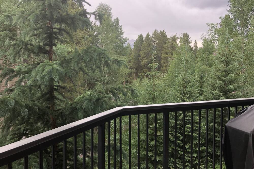 Photo of Patio Balcony in Warrior's Mark
