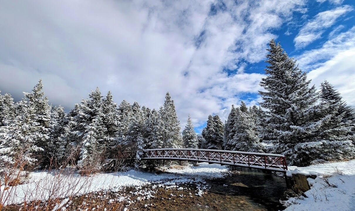 Photo of Outdoor in Mountain House