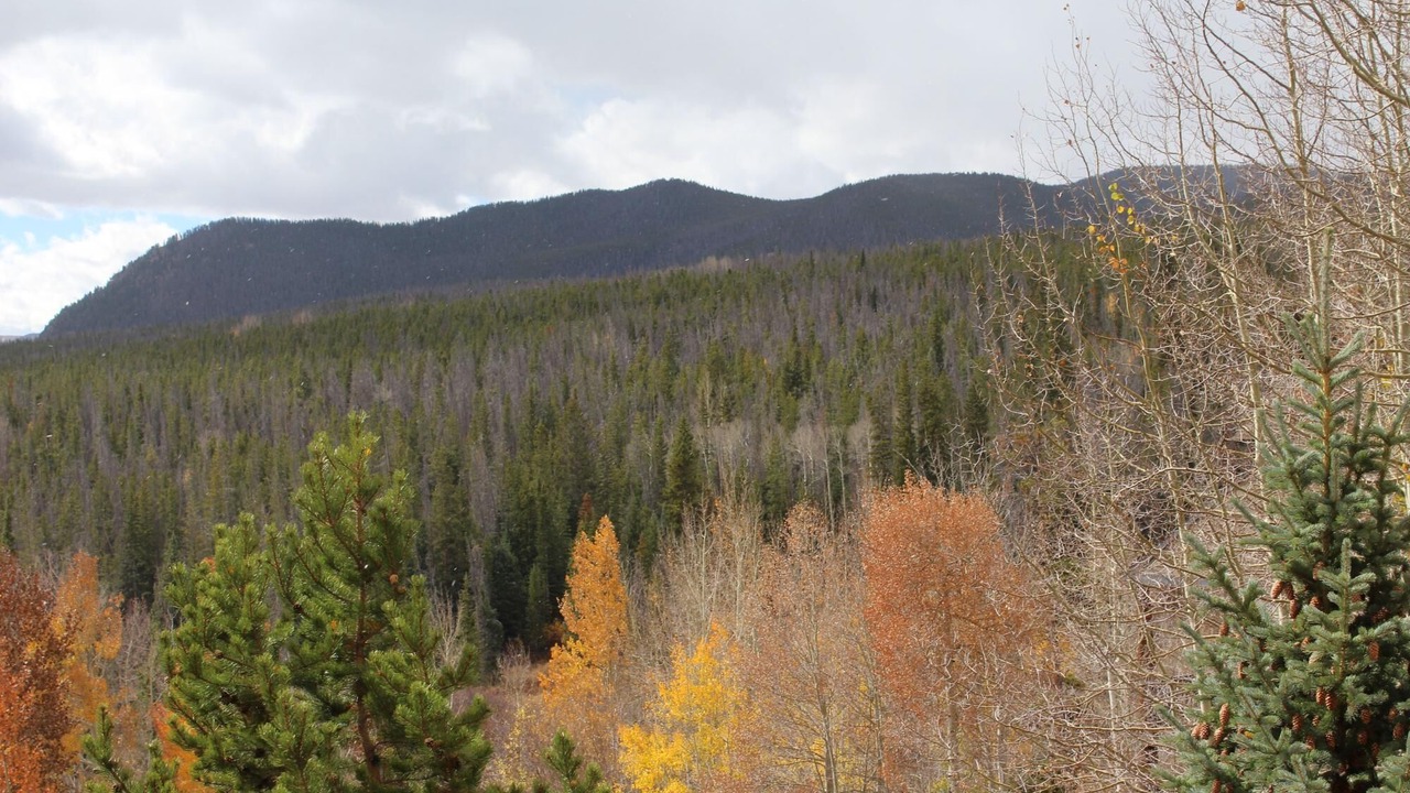Photo of Others in Wildernest