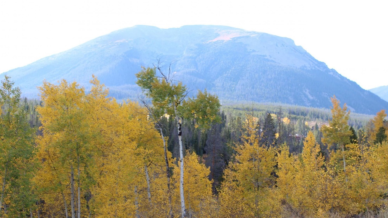 Photo of Others in Wildernest
