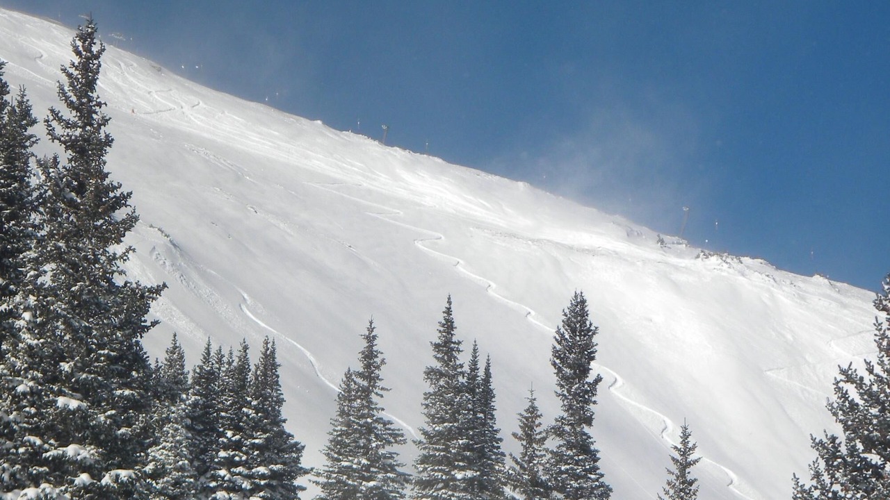 Photo of Others in Wildernest