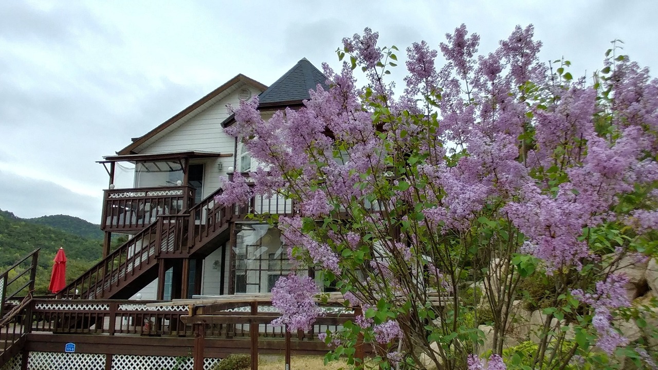 Photo of Outdoor in Gyeongju