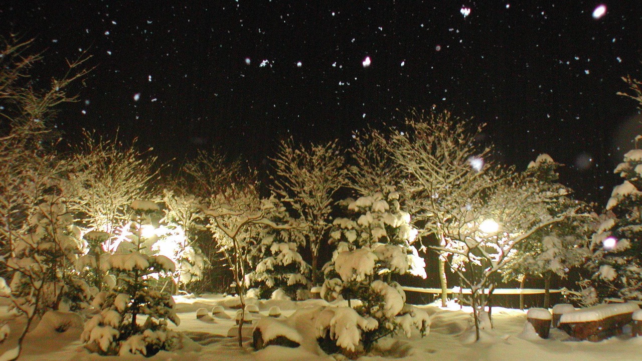 Photo of Outdoor in Bongpyeong