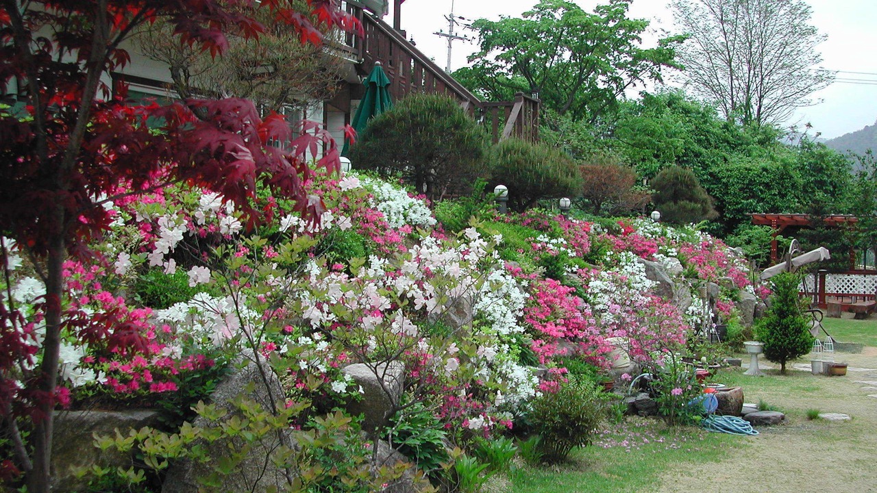Photo of Outdoor in Bongpyeong