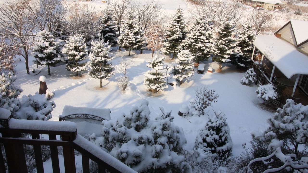 Photo of Outdoor in Bongpyeong