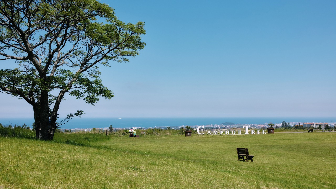 Photo of Outdoor in Nohyeong-dong
