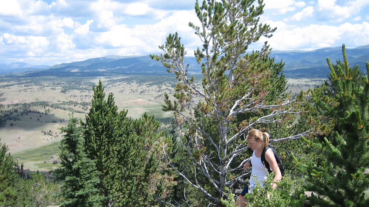 Photo of Others in Indian Mountain