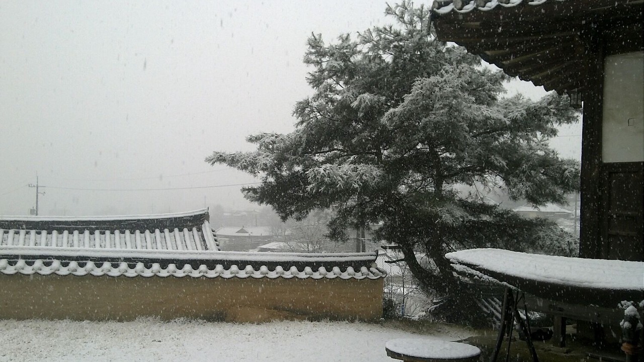Photo of Outdoor in Pungsan