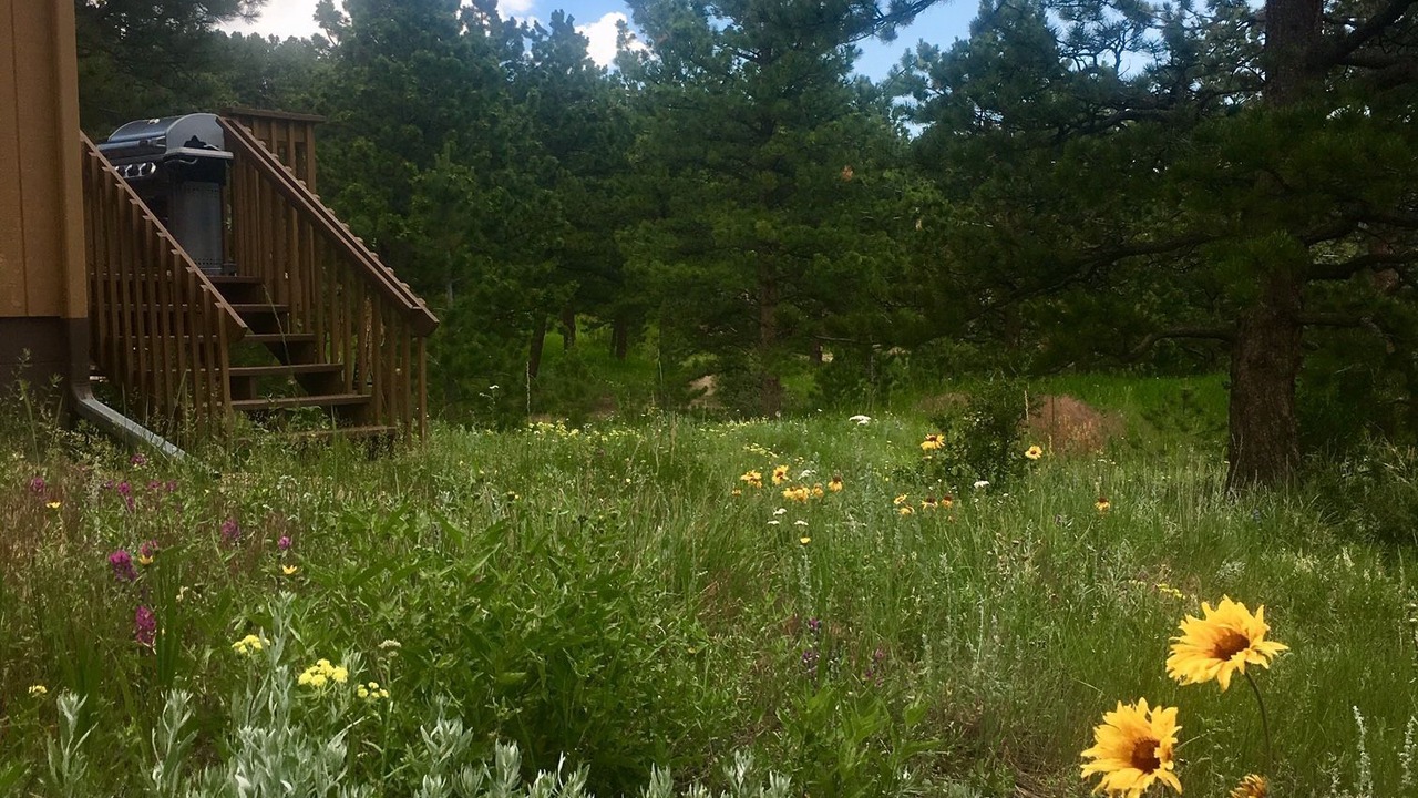Photo of Outdoor in Lyons