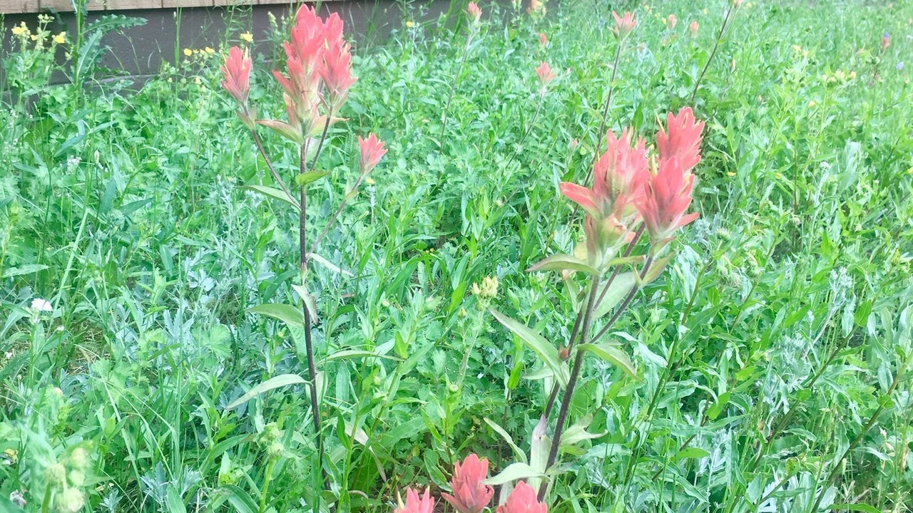 Photo of Outdoor in Lyons