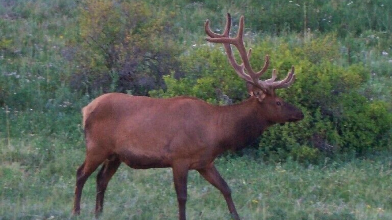 Photo of Outdoor in Lyons