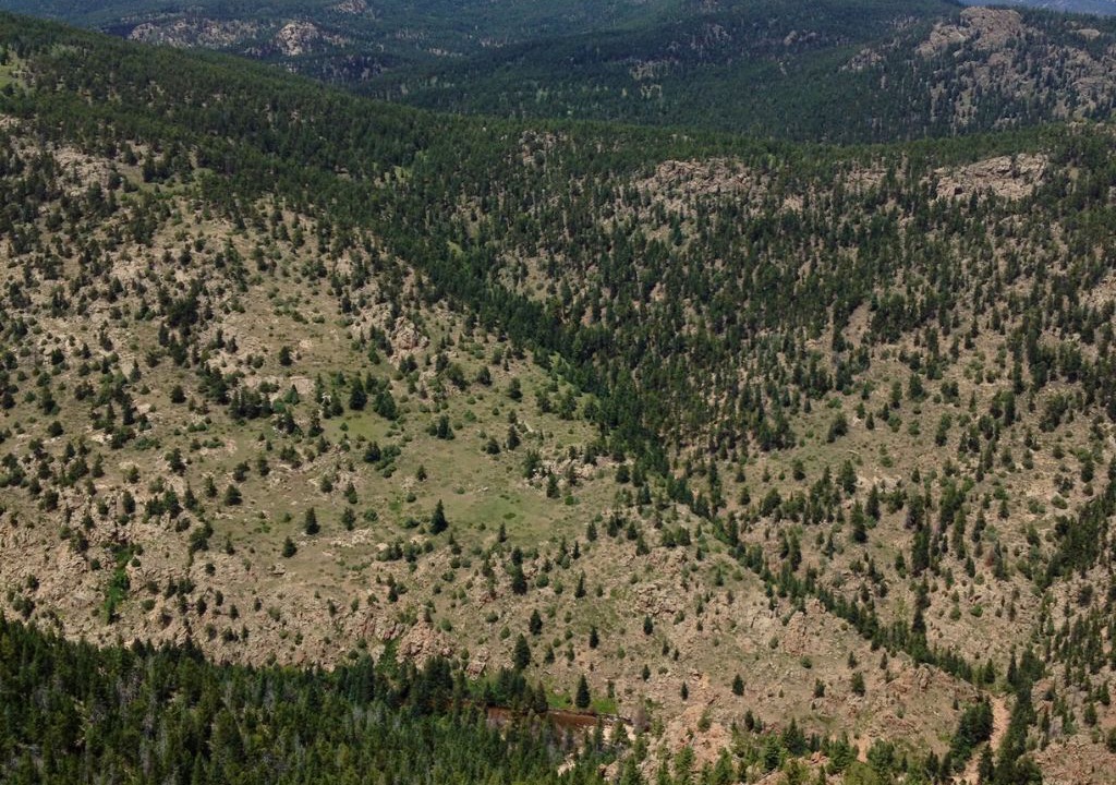 Photo of Outdoor in Lyons