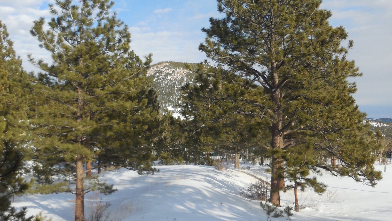 Photo of Outdoor in Lyons