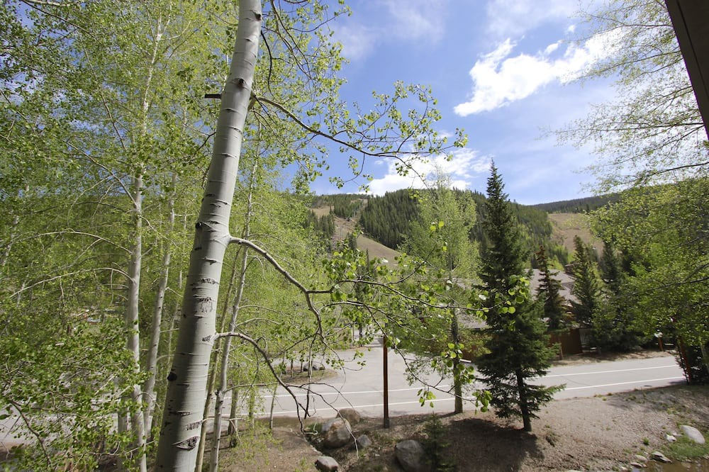 Photo of Patio Balcony in Mountain House