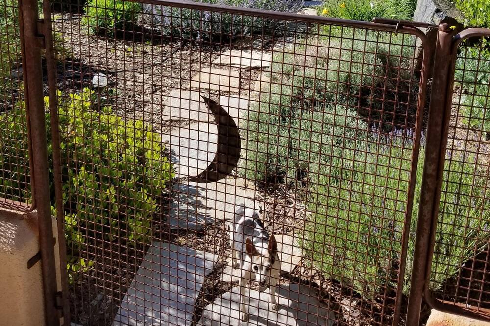 Photo of Outdoor in Mancos