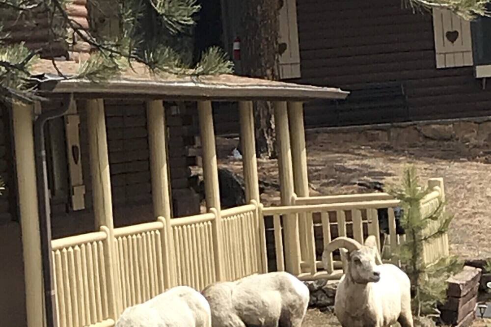 Photo of Others in Lyons
