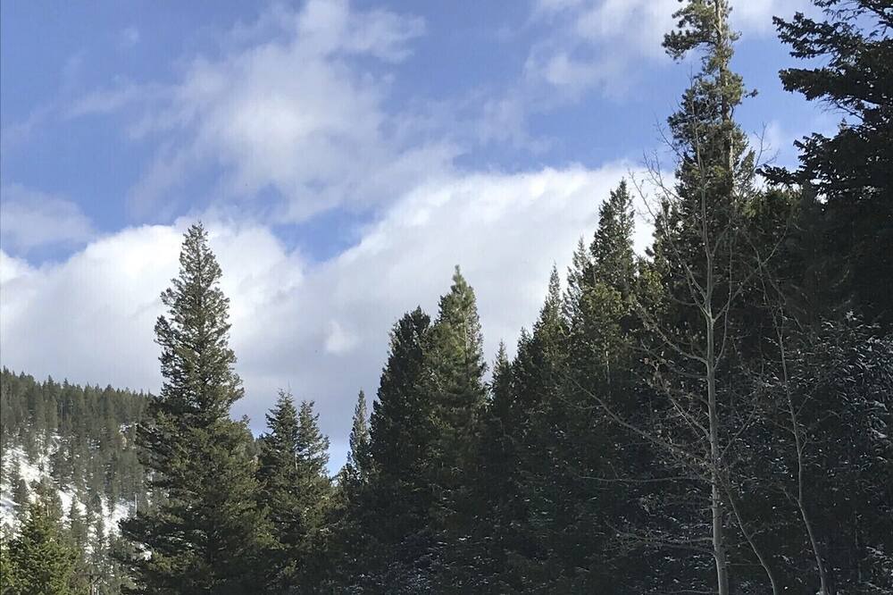 Photo of Others in Lyons