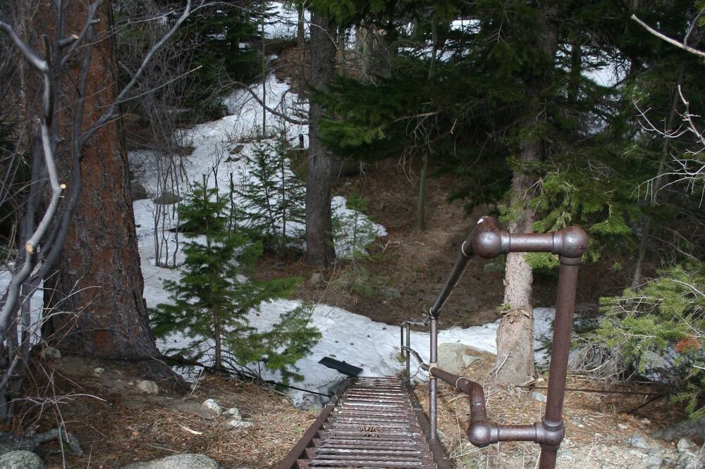 Photo of Others in Lyons