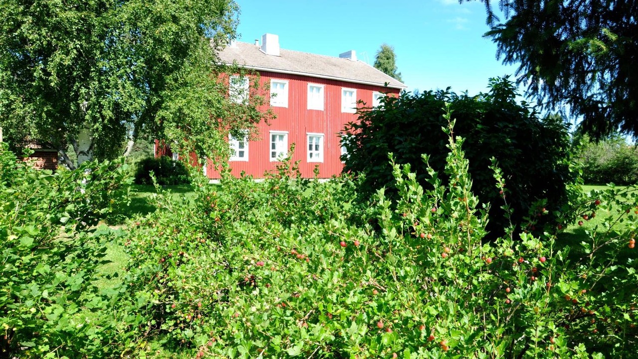 Photo of Outdoor in Teuva