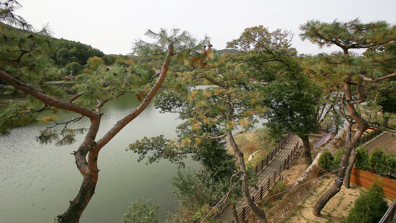 Photo of Others in Pocheon