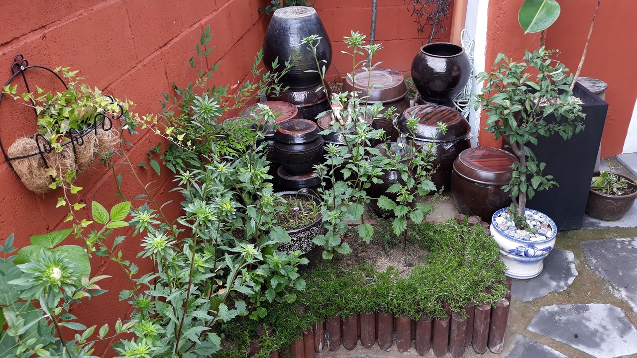 Photo of Outdoor in Jeonju