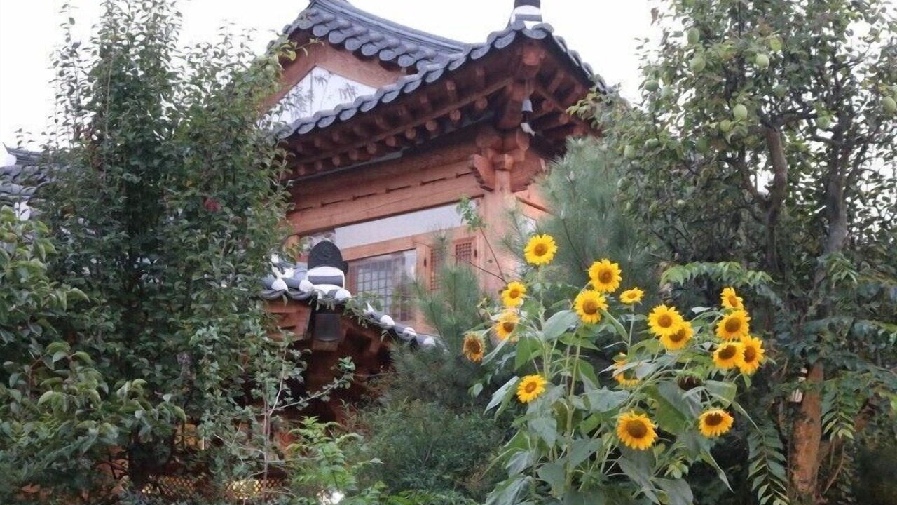 Photo of Outdoor in Jeonju