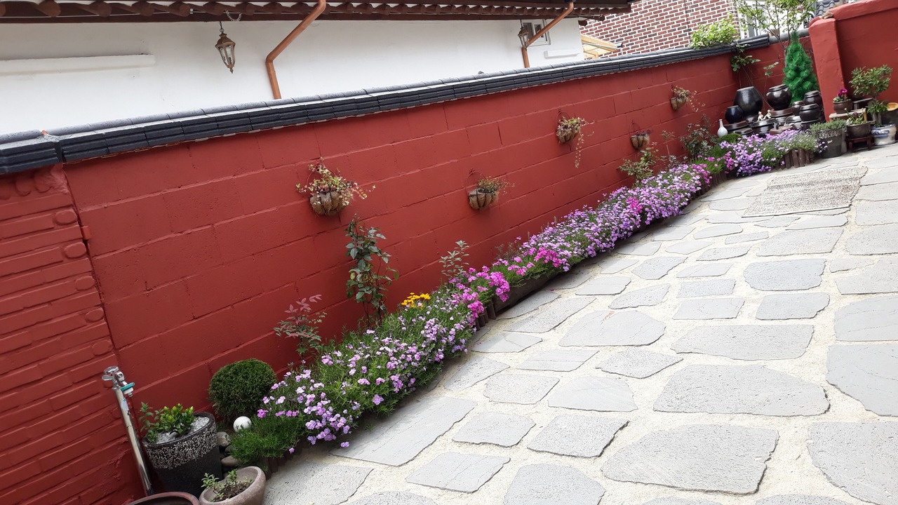 Photo of Outdoor in Jeonju