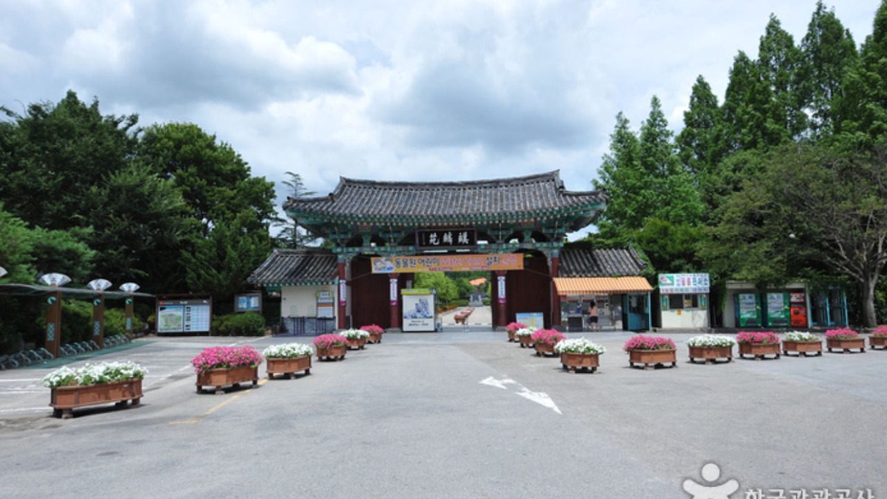 Photo of Others in Jeonju