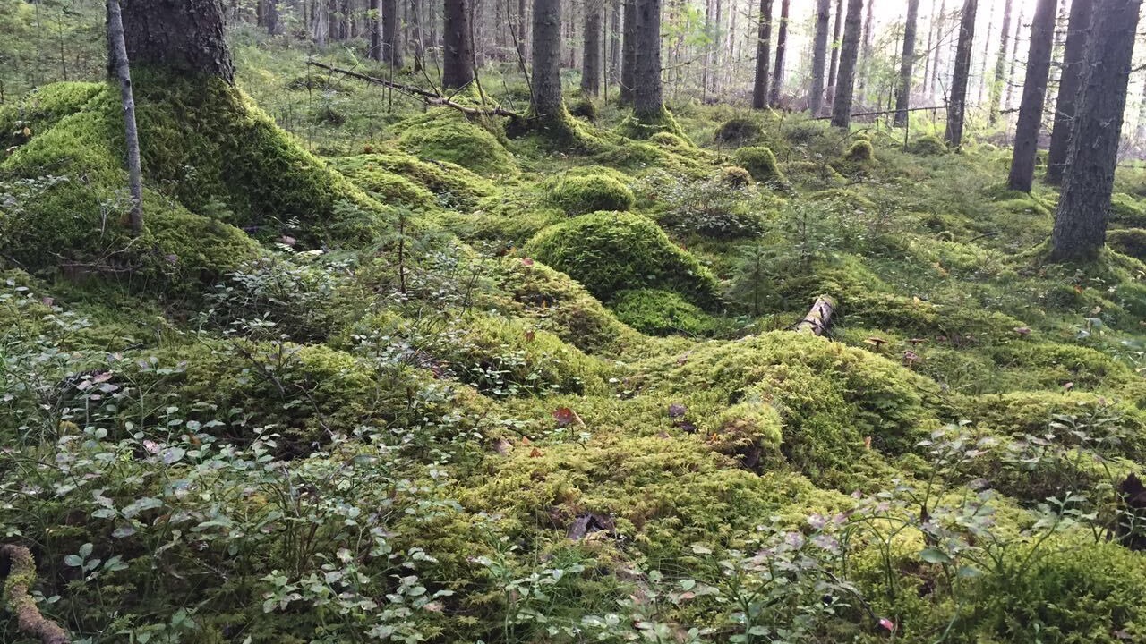 Photo of Outdoor in Nilsia