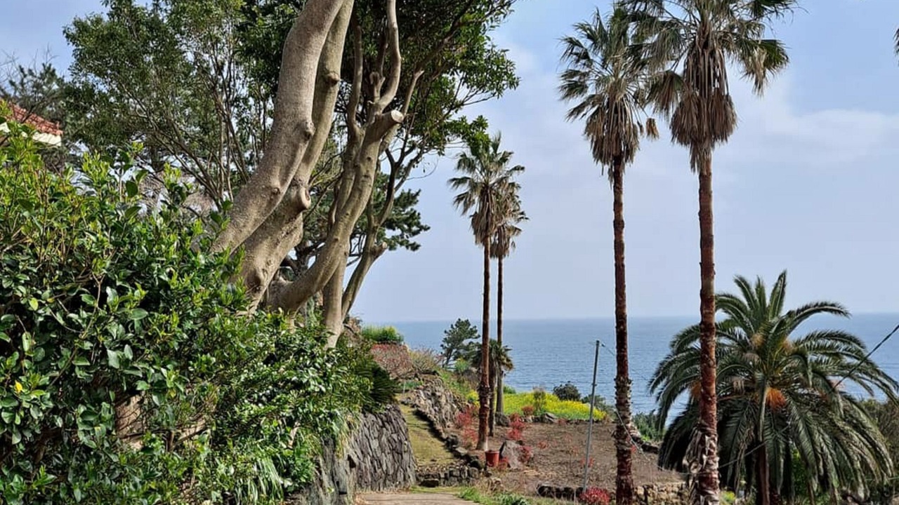 Photo of Outdoor in Seogwipo City