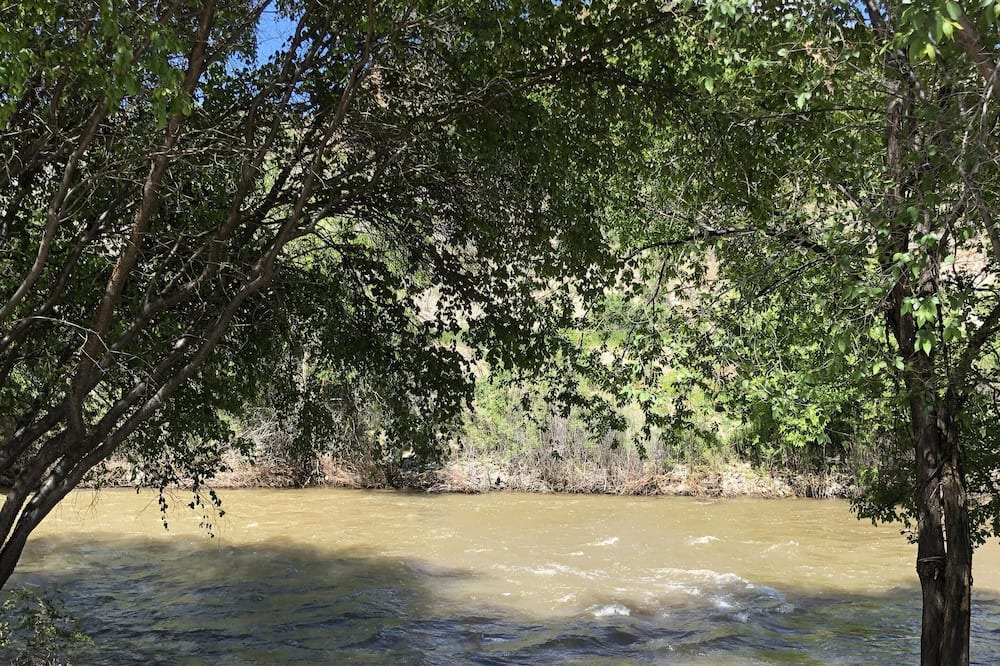 Photo of Others in Naturita