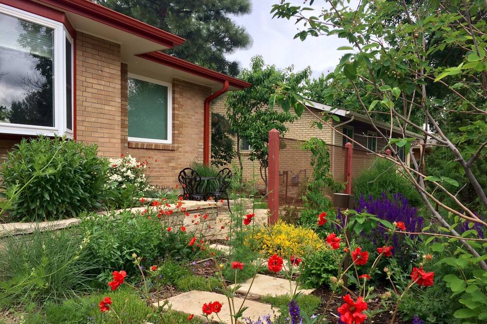 Photo of Outdoor in Martin Acres