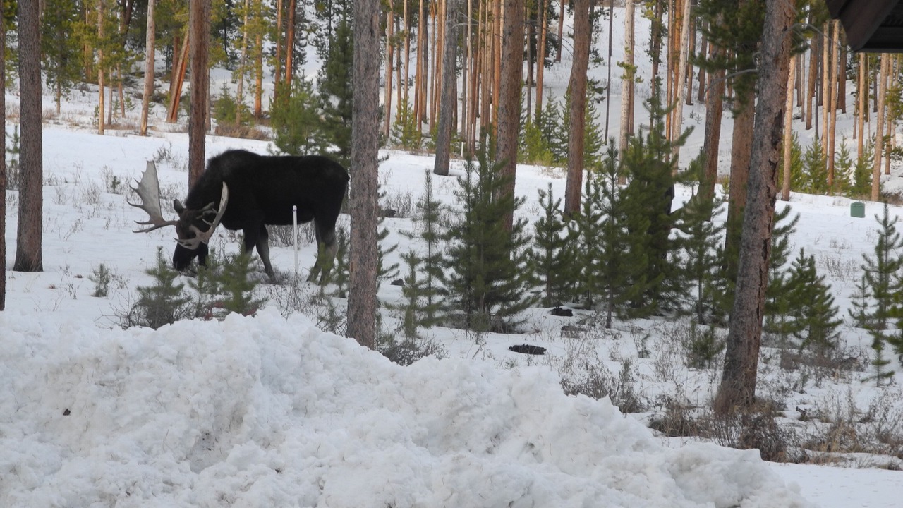 Photo of Outdoor in Granby