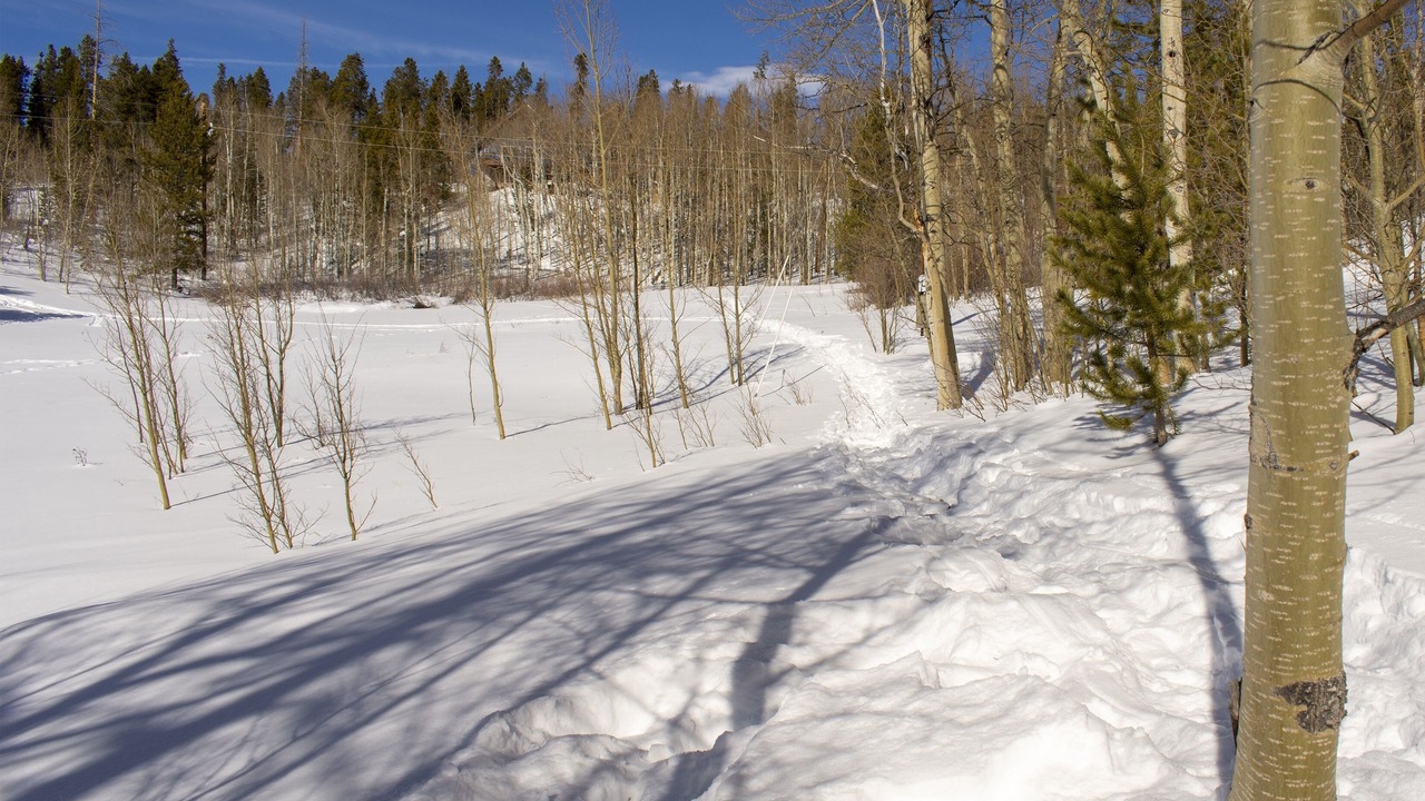 Photo of Others in Grand View Highlands