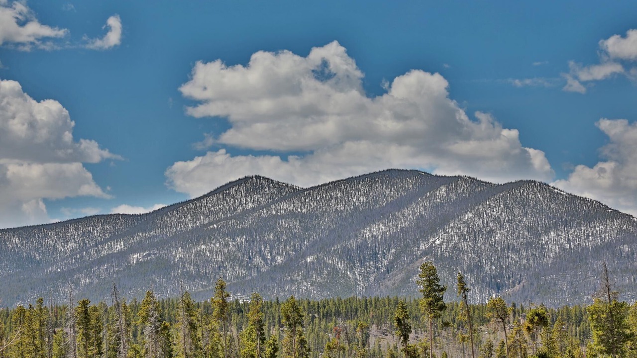 Photo of Others in Grand View Highlands