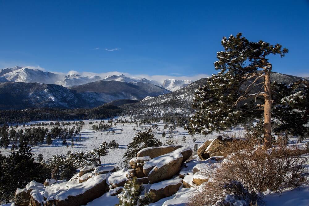 Photo of Others in Estes Park