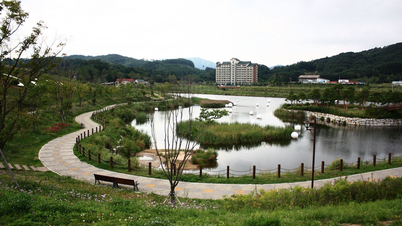 Photo of Others in Daegwallyeong