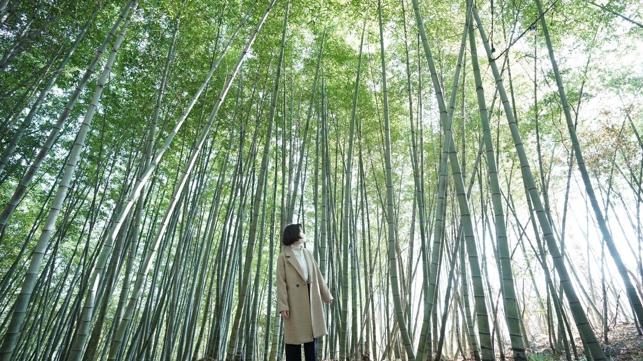 Photo of Outdoor in Irun-myeon