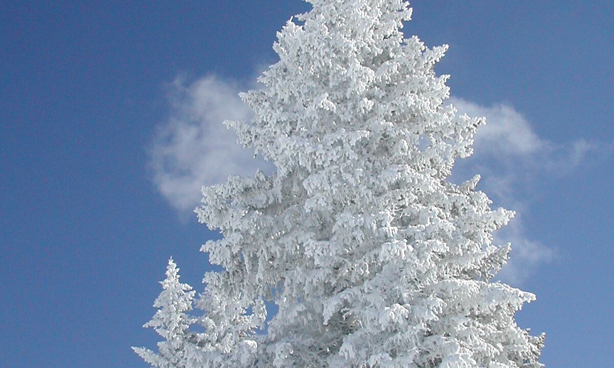 Photo of Outdoor in Wolcott