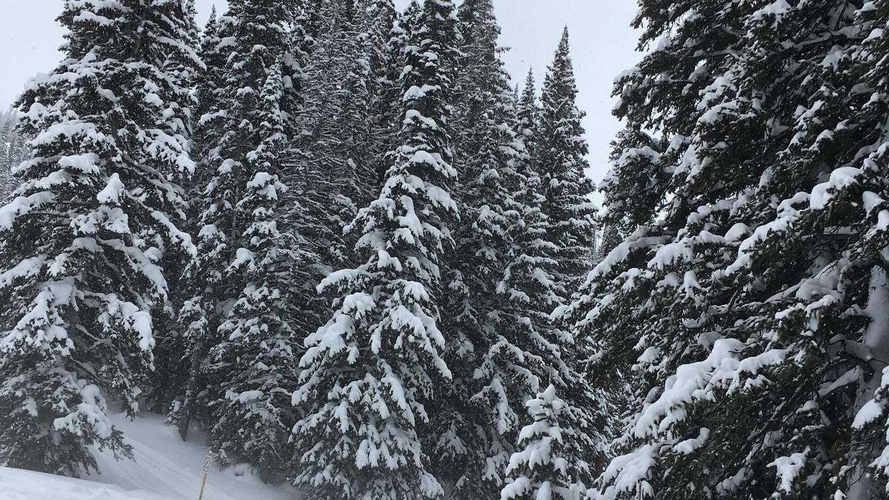 Photo of Others in Summit Cove
