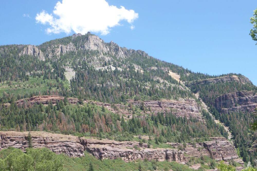 Photo of Others in Ridgway